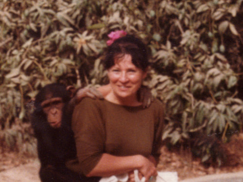 Scaled image 1987-1.jpg 