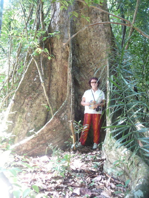 Scaled image 2007-11.JPG 