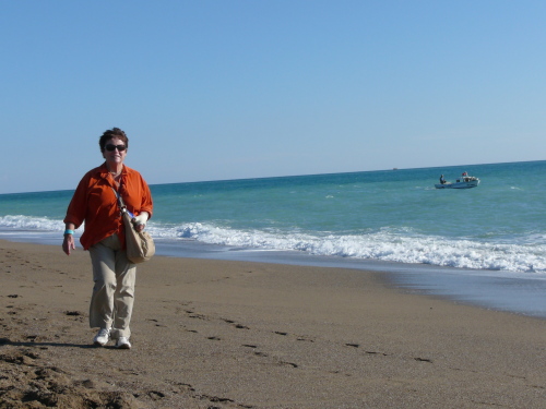 Scaled image 2010-28.JPG 