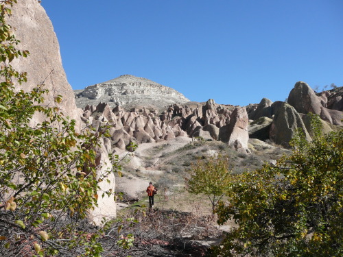 Scaled image 2010-29.JPG 